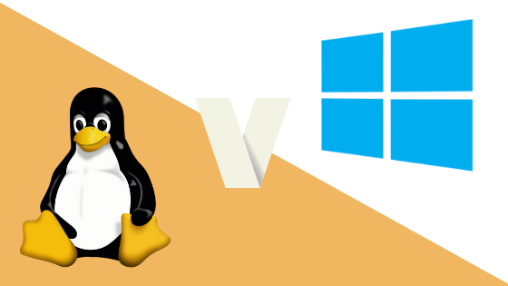 Untitled design (41)